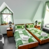 IzbaStandard4